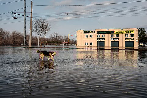 Russia Floods