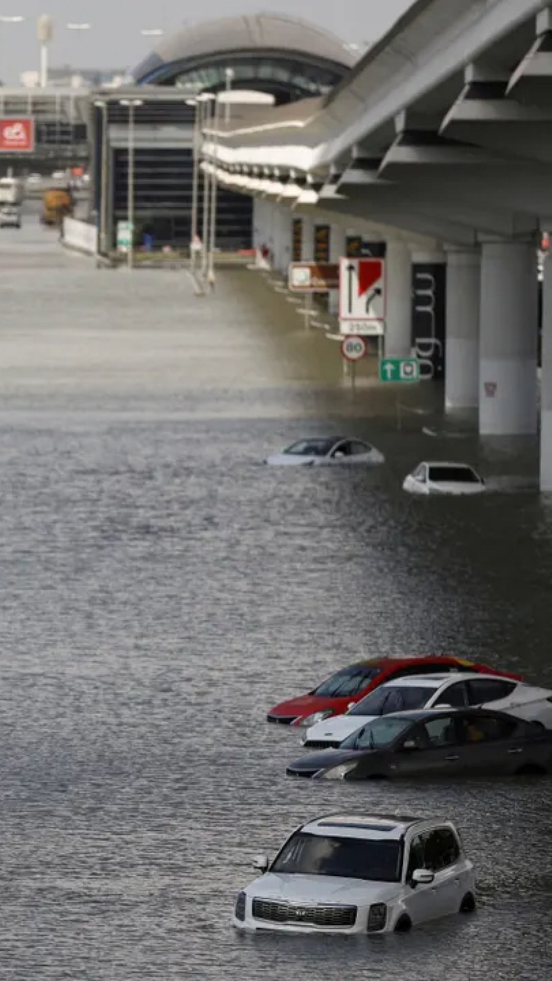 Floods, Heatwaves And More: Asia Faces Brunt Of Climate Change  - AP 