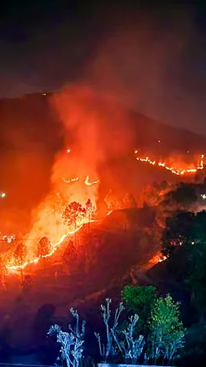 PTI : Massive forest fire in Nainital |