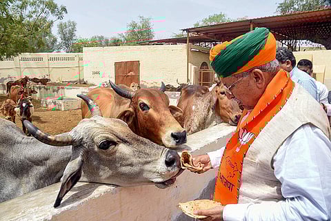 Campaign for LS polls