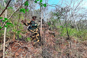 PTI/File : The encounter with security personnel took place in Chhattisgarh's Bastar region