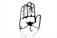 Congress%20Trapped%20In%20The%20%27Family%27%20Template%20%20