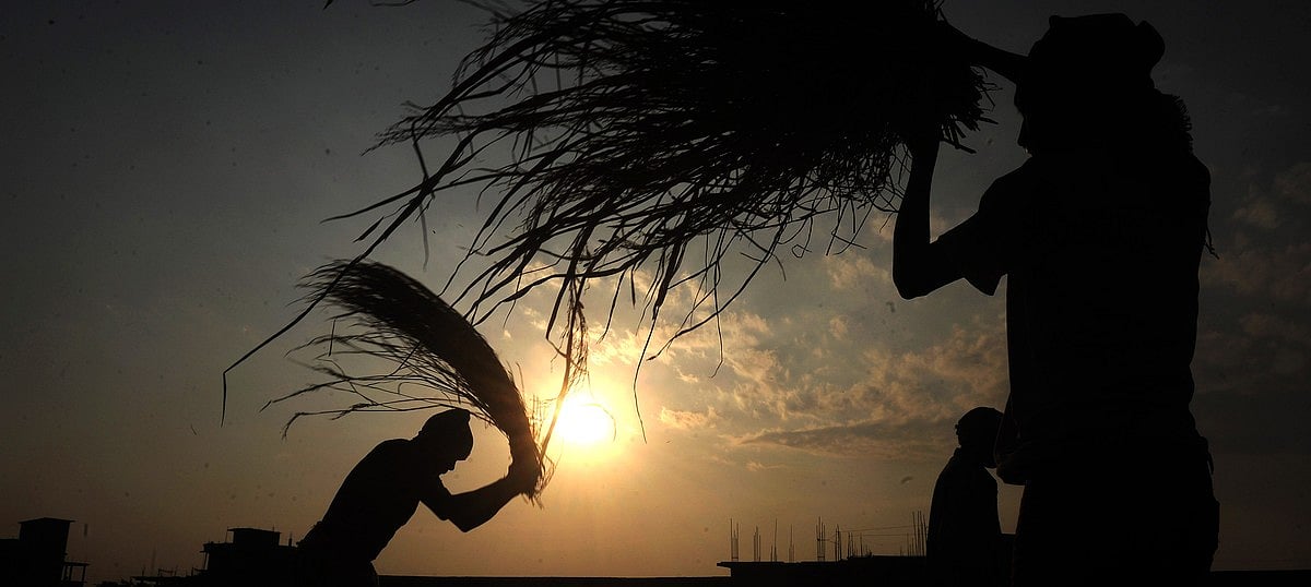 Haryana Weather Today: Pleasant Morning with Rising Temperatures Ahead