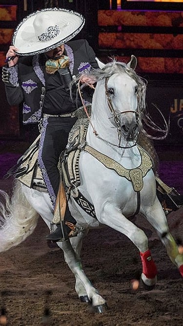 Damian Dovarganes : ‘Jaripeo Hasta Los Huesos Tour 2024’