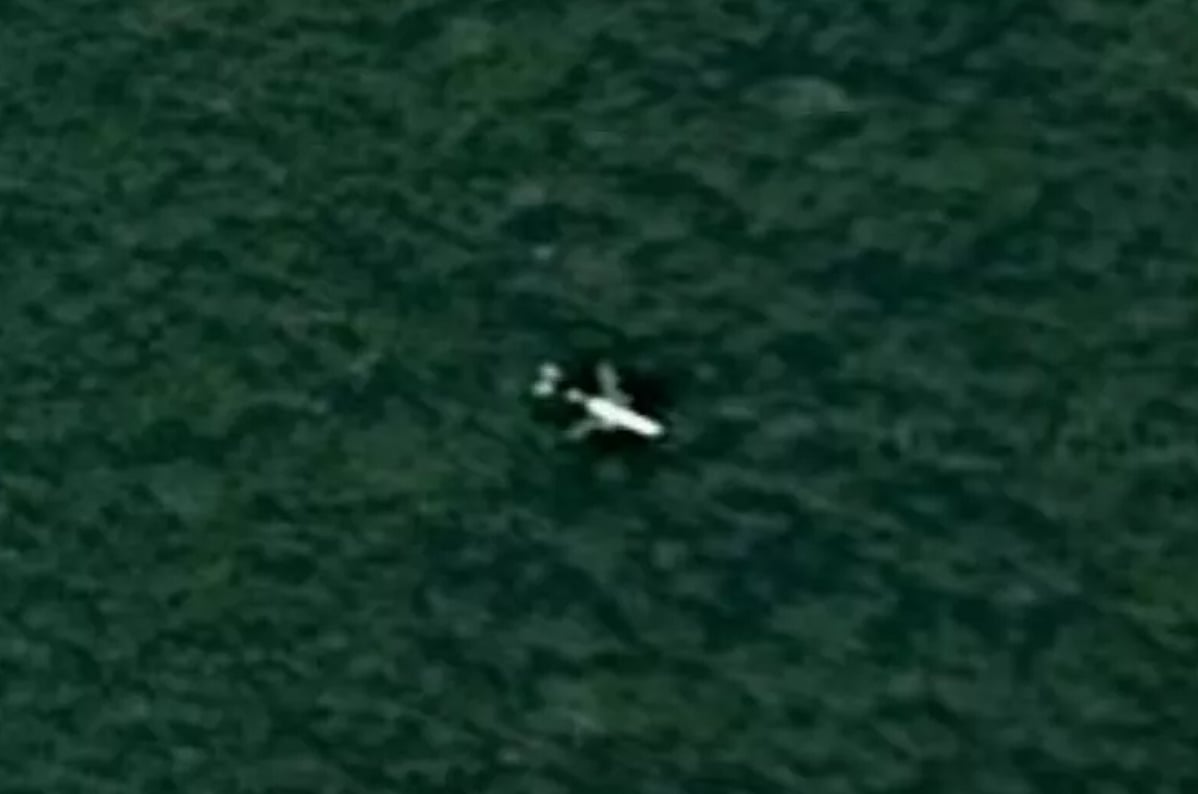 MH370 On Google Maps Expert Claims - MH370 On Google Maps 