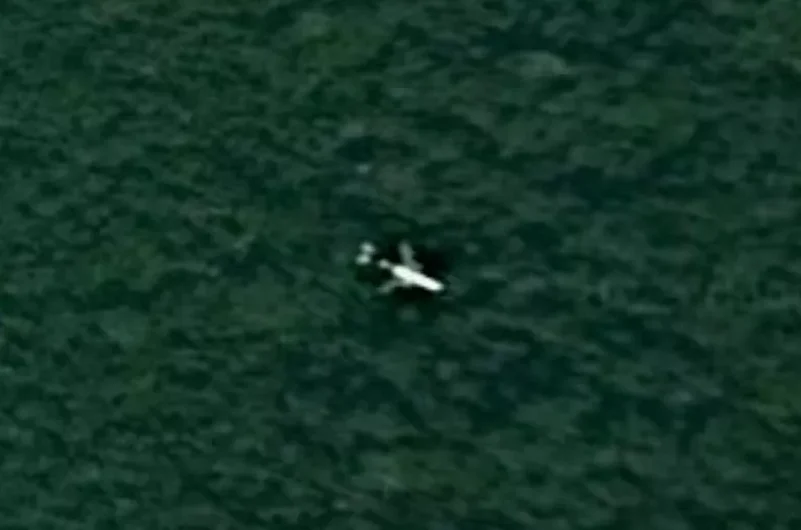 Google/ Maxar Technologies