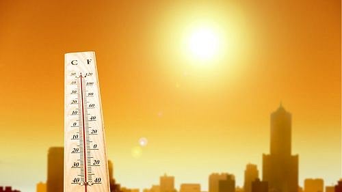 Ancient Tree Rings Reveal 2023 As Hottest Summer In Over 2,000 Years, Scientists Confirm