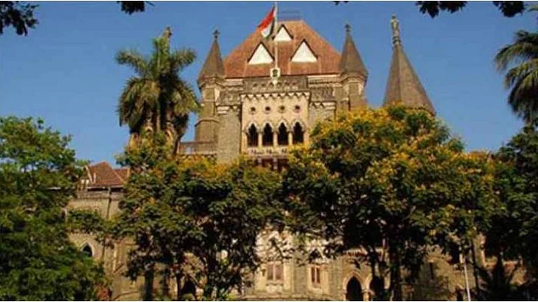 A Bombay HC division bench of Justices AS Gadkari and Neela Gokhale made the observations. | - PTI