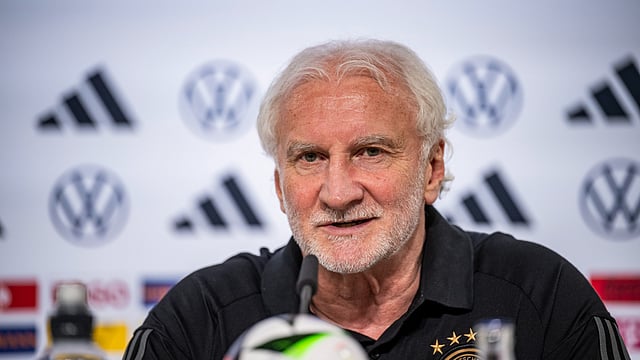 Euro 2024: Germany Have 'Unbelievable Optimism' Of Lifting Trophy, Says Voller
