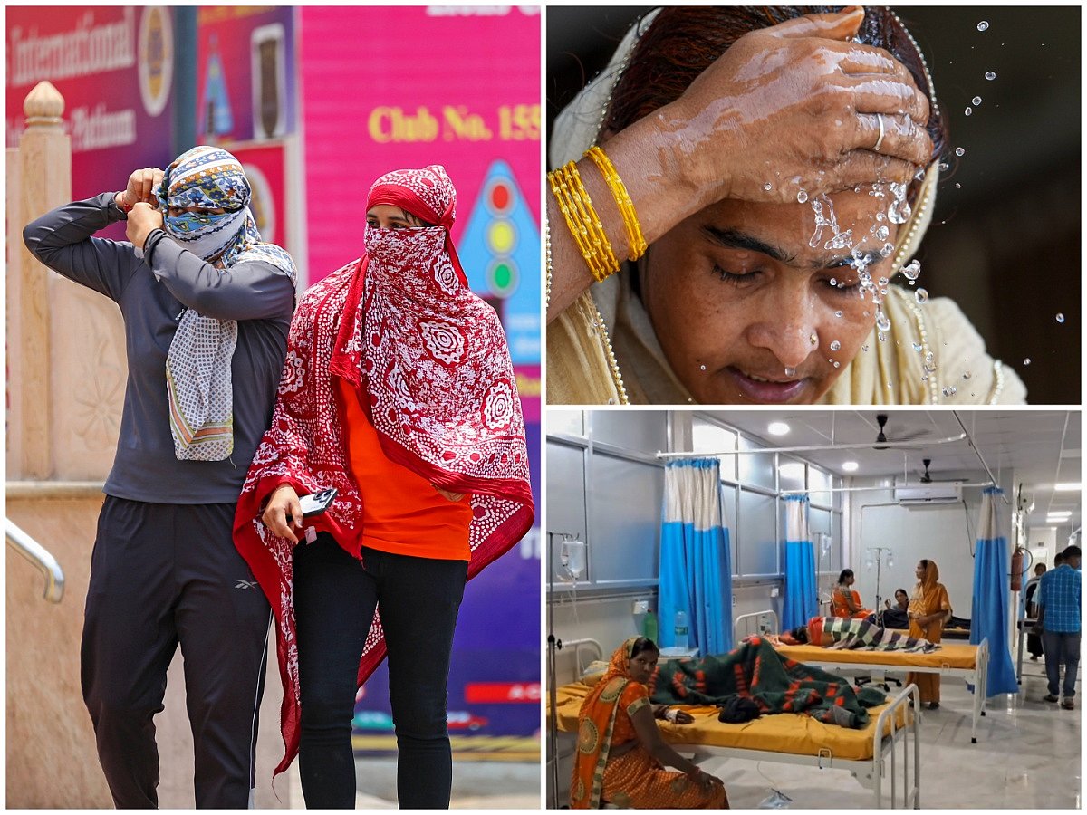 PTI : The maximum number of deaths were reported from Odisha. 