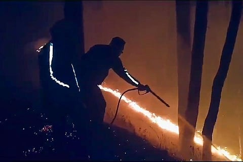 Bageshwar forest fire