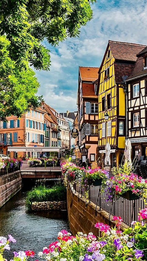 Alsace