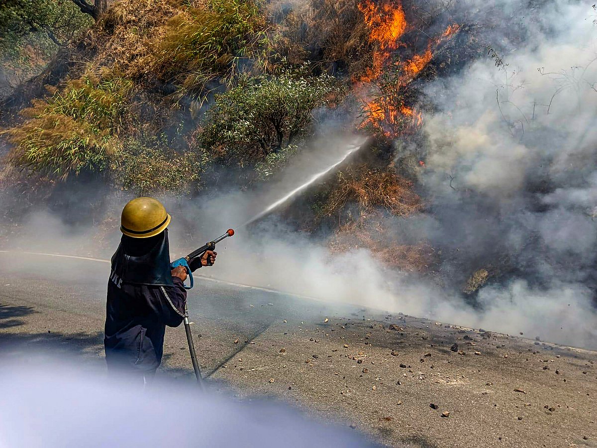 PTI :  
Fire in forest of Nainital district