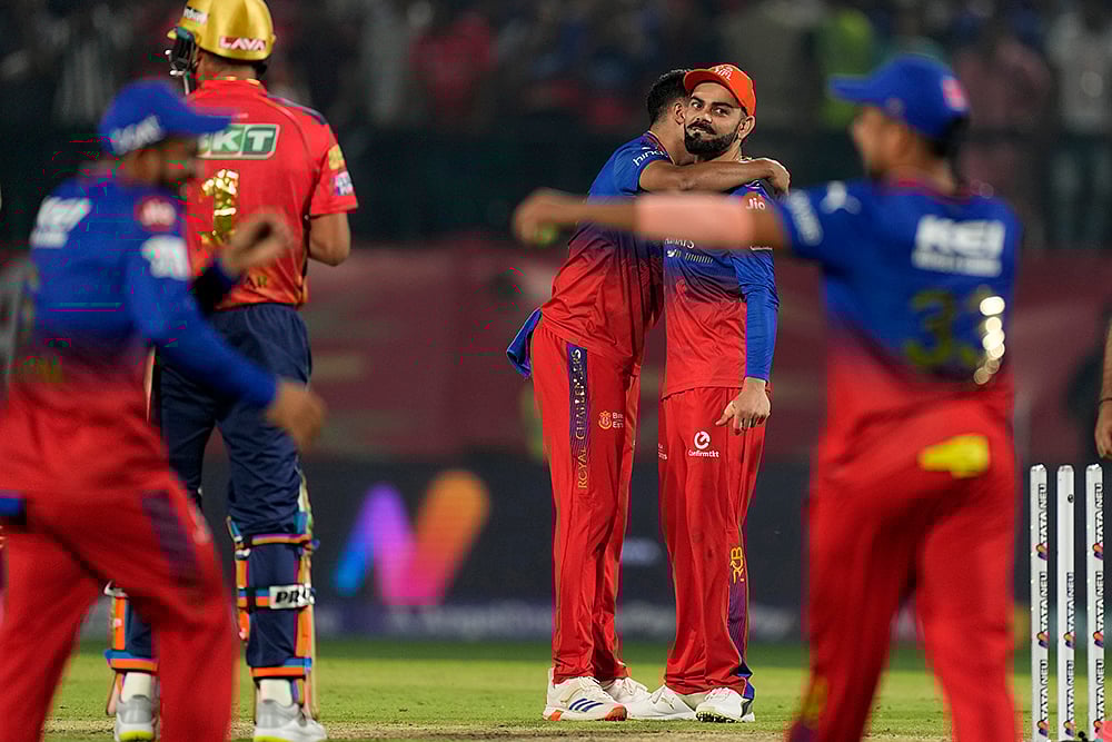 | Photo: AP/Ashwini Bhatia : IPL 2024: Royal Challengers Bengaluru vs Punjab Kings