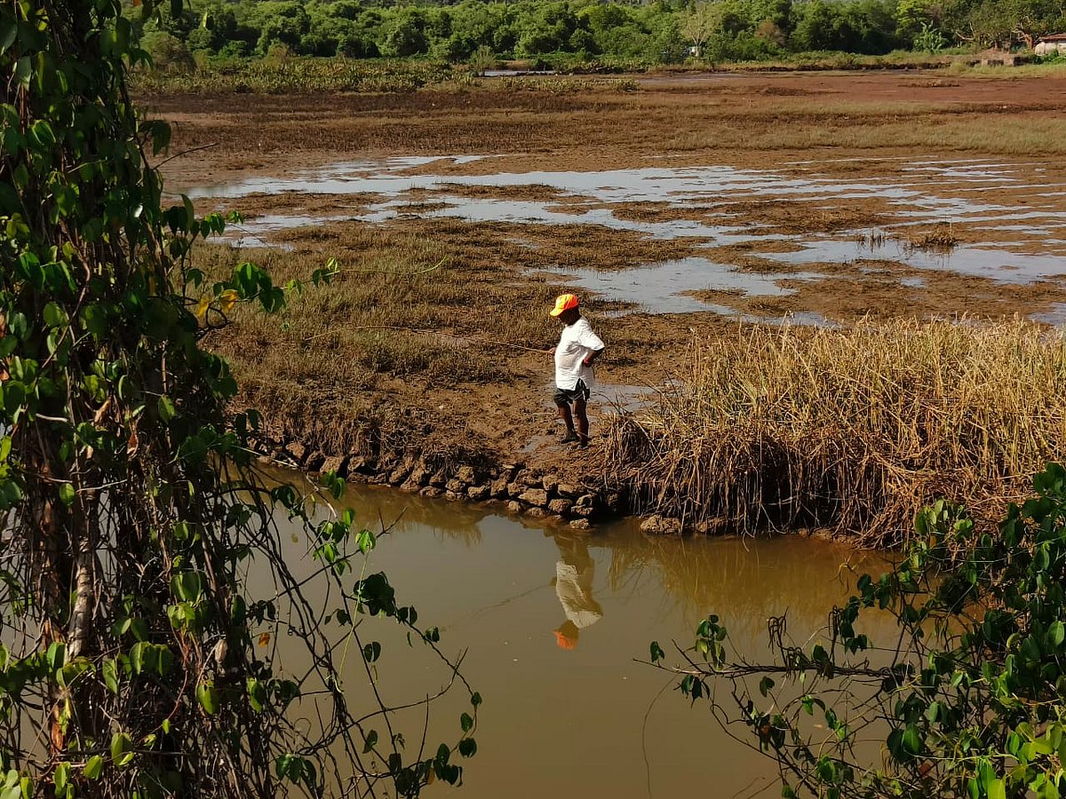 Rakhi Bose/Outlook : Residents of villages near recently reopened mines in Bicholim remain concerned about hazardous effects of mining on local water bodies