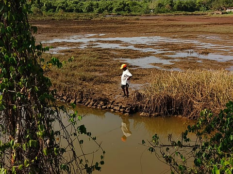 Politics Of Mining: Why Some Goans Don't Want Mining To Resume