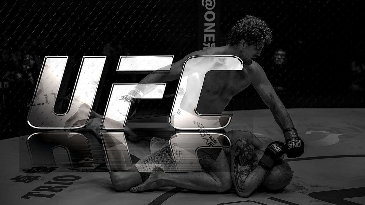 UFC 토토 사이트