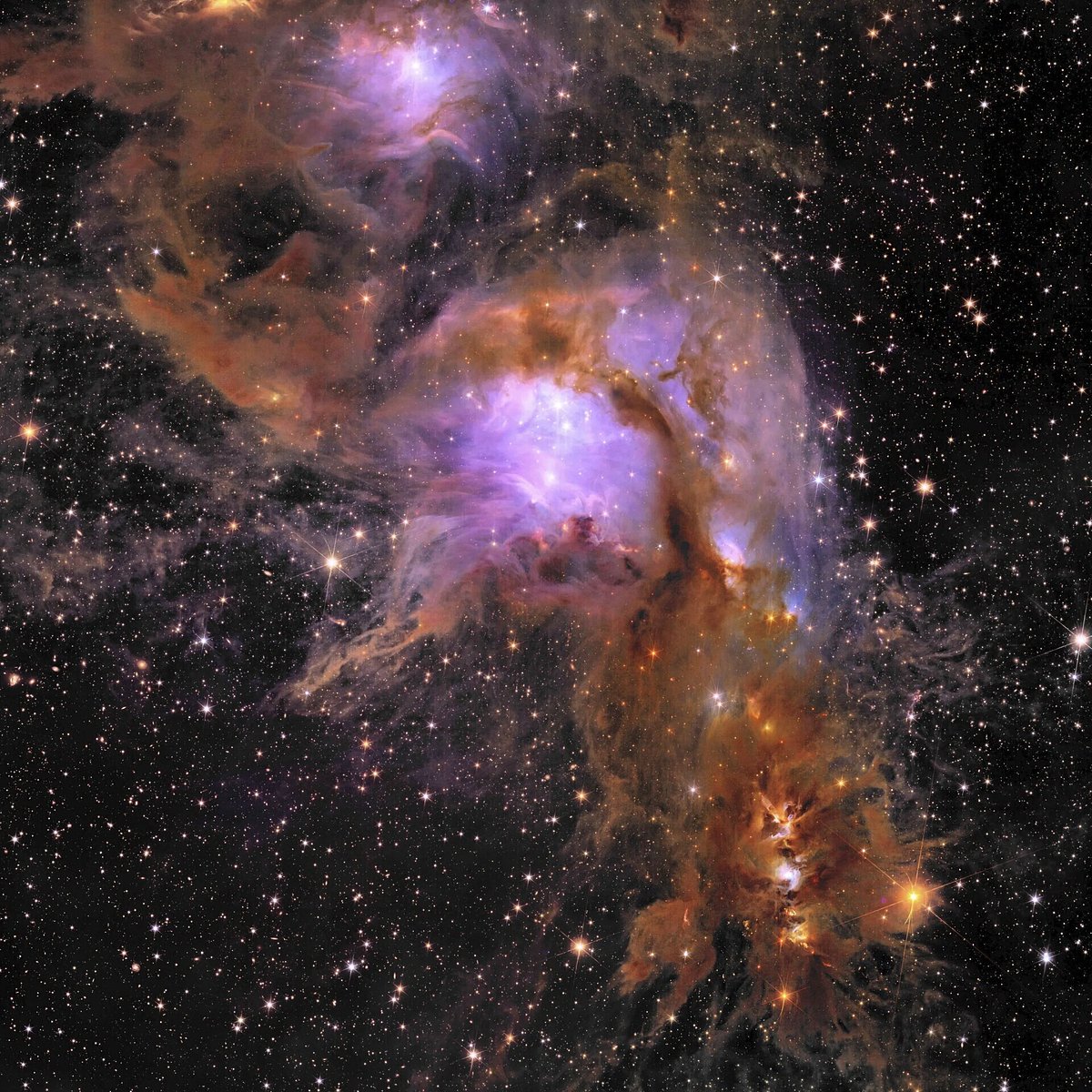 Euclid's new image of star forming region Messier 78. - AP