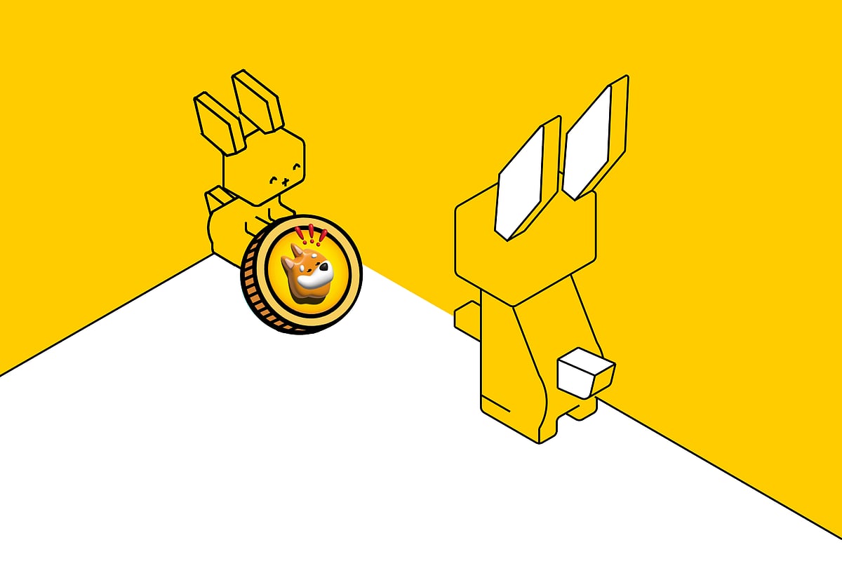 BONK And GALA Are Up This Week, But It Is Emerging Meme Coin Raboo That Is Taking The Spotlight