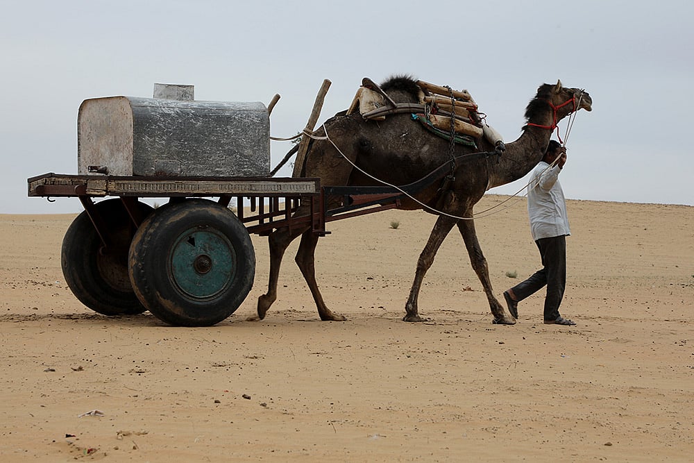 Rajasthan water crisis photo_2