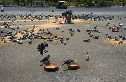 Weather: Hot summer day in New Delhi