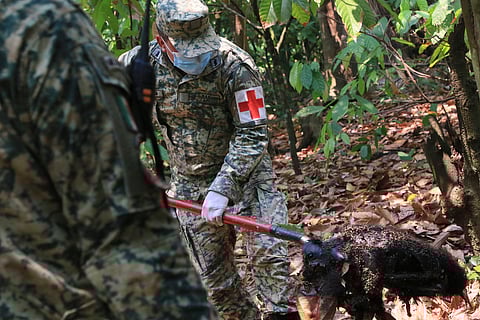 A soldier removes the body of a howler monkey that died amid extremely high temperatures in Tecolutilla.