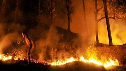 Uttarakhand: Why Forest Officials At Poll Duty, Asks SC; Slams Centre Over Rolling Out Lesser Fund To Tackle Forest Fire