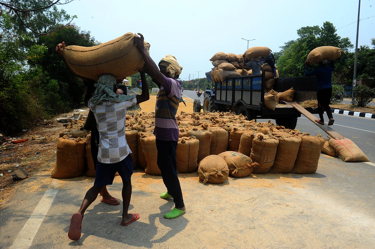 Lack of a well-functioning market for the sale of paddy is one of the biggest problem for local farmers. - Sandipan Chatterjee