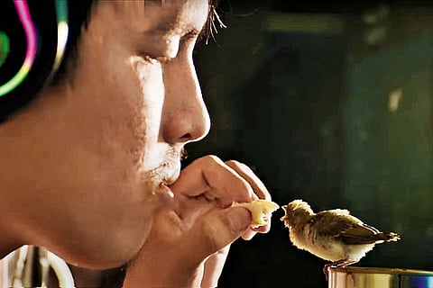 Screengrab from Inside the Yellow Cocoon Shell