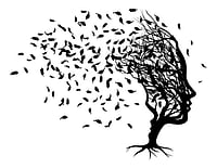 Decoding Life After Loss: A Daughter's Meditative Journey