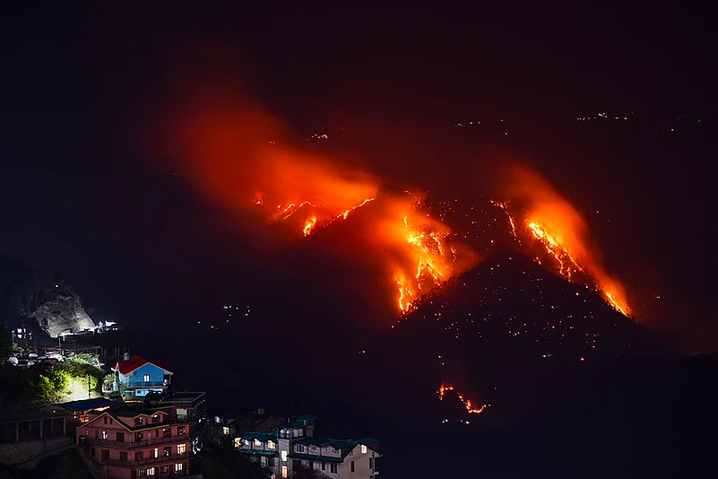 Wildfire in Shimla