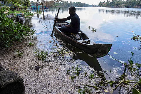 Dead fish in Periyar river after industrial effluents released