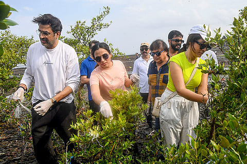 Beach cleaning drive
