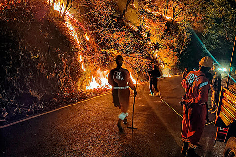 Nainital Forest Fire