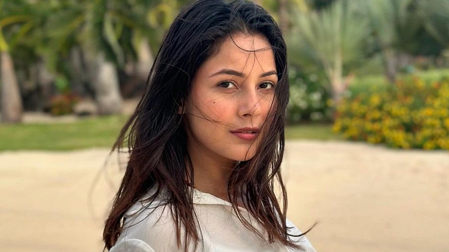 Instagram : Shehnaaz Gill