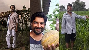 Instagram : Nawazuddin Siddiqui, R Madhavan, Pankaj Tripathi