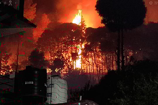 Uttarakhand Forest Fire | In Pics