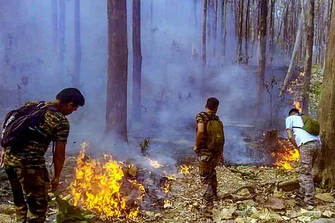 Fire in Nainital forest