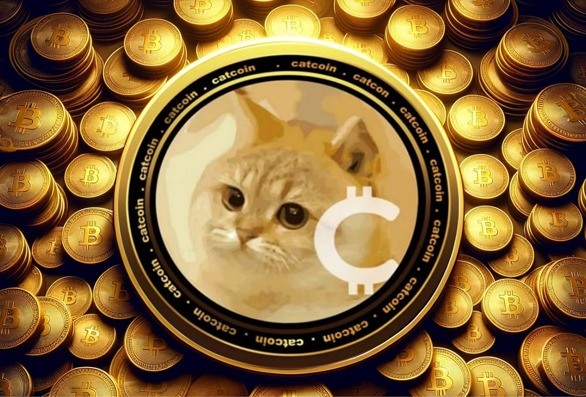 Catcoin 