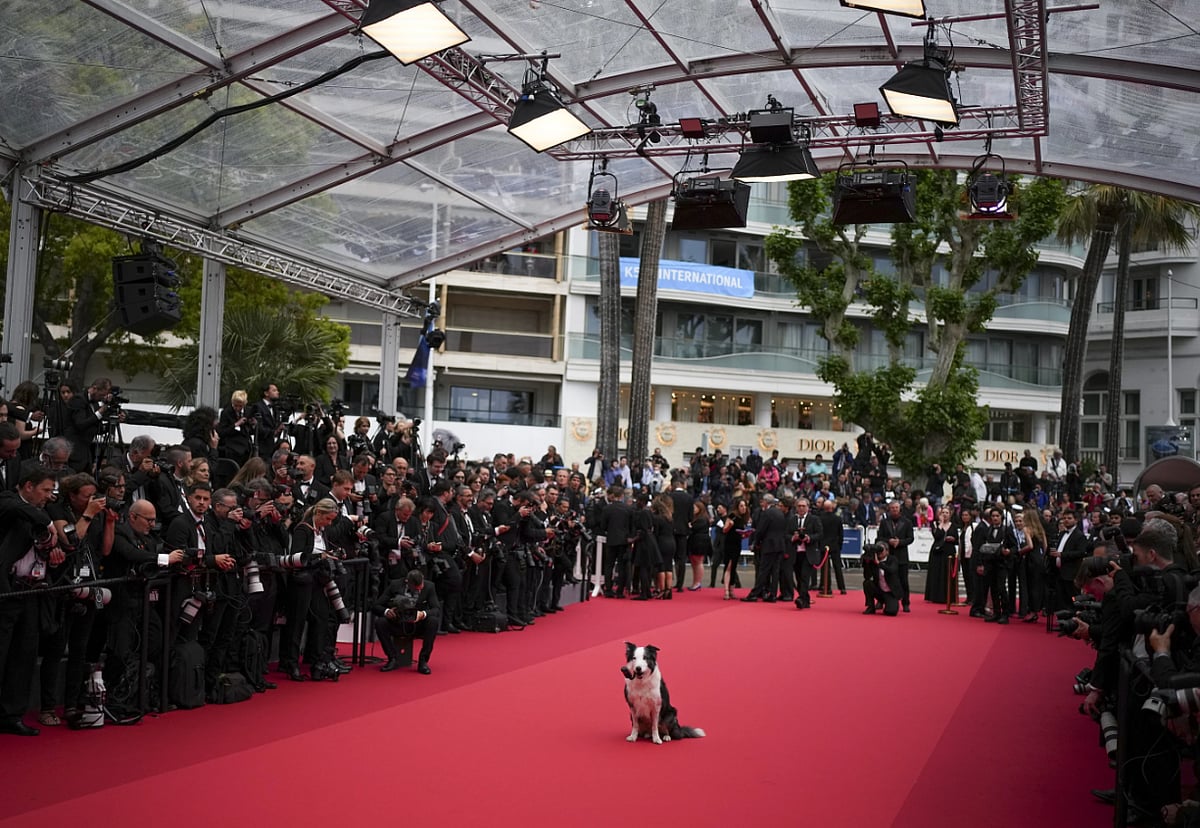 Messi At The Cannes Red Carpet - AP