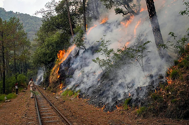 Forest Fires, Rising Smokes & Flames In Northern India | See Pics