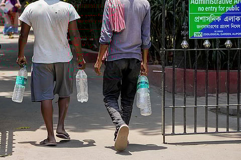 Laborers at Alipore Zoological Garden