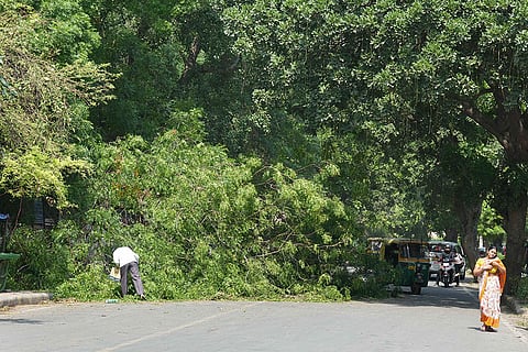 Aftermath of dust storm in Delhi