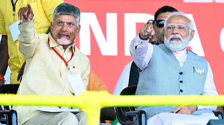 TDP chief Chandrababu Naidu and Prime Minister Narendra Modi.  - (Photo: PTI)