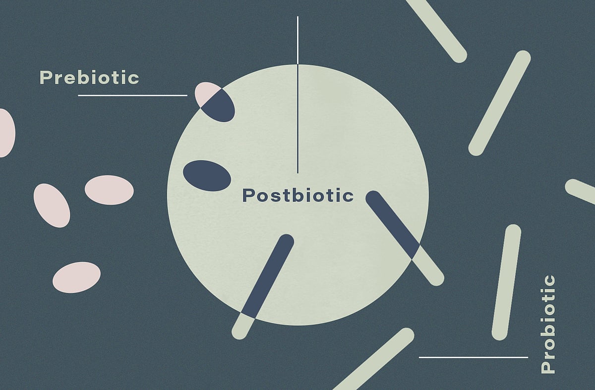 What Are Postbiotics? - null