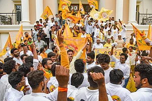 PTI : TDP supporters celebrate the party's lead in the Andhra Pradesh Assembly polls and Lok Sabha polls