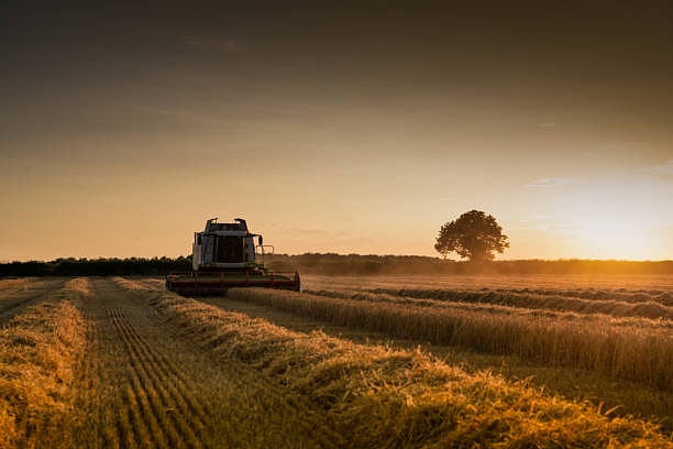 Representative/Getty Images