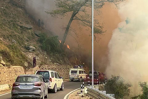 Fire in forest near Badrinath to Joshimath highway