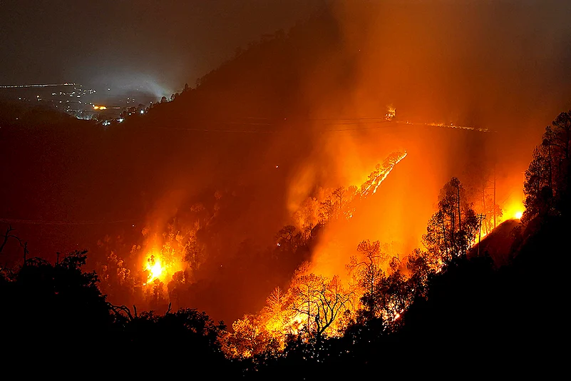 Forest fire in Shimla