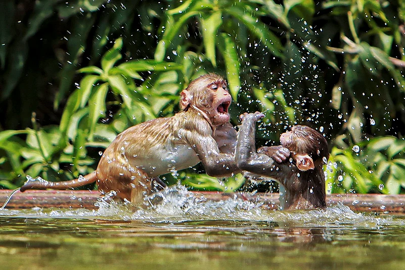 India Heatwave Photo_13